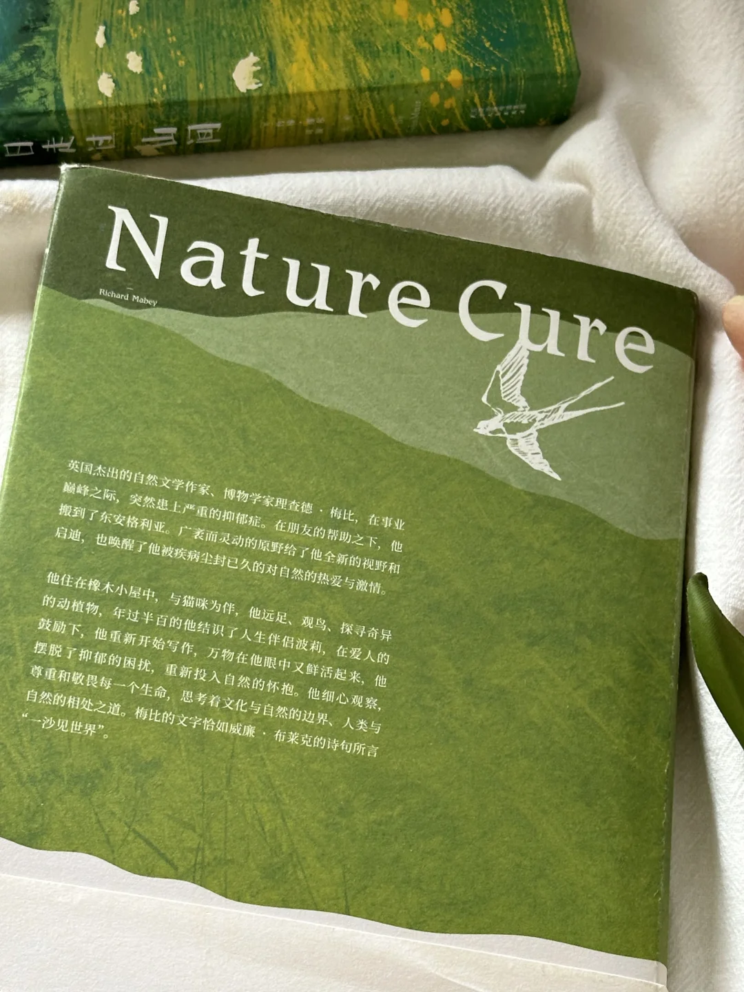 治愈的春日书单🌿每一本我都太太太爱啦！