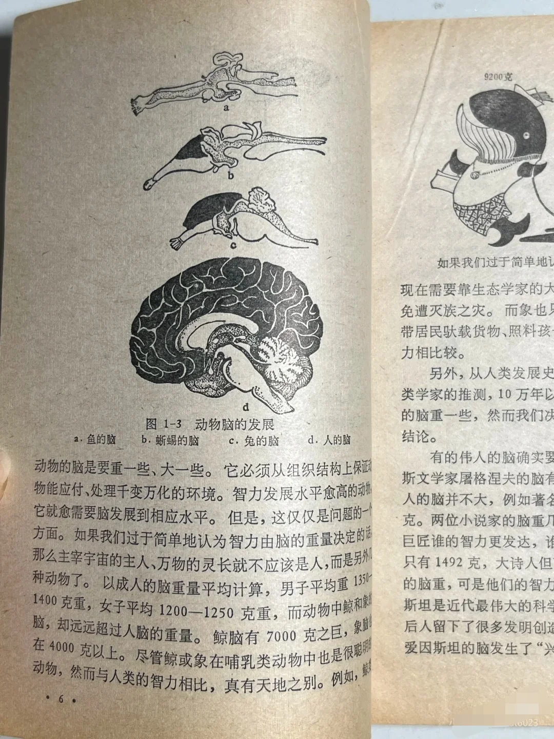 绝版旧书｜40年前的书干货满满