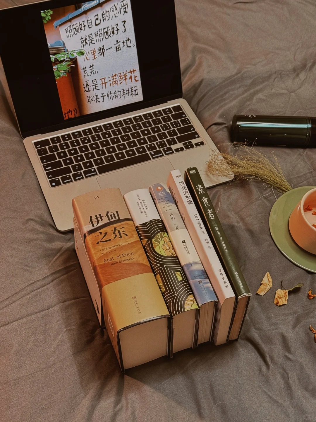 我的2024年度书单📚（文学类）
