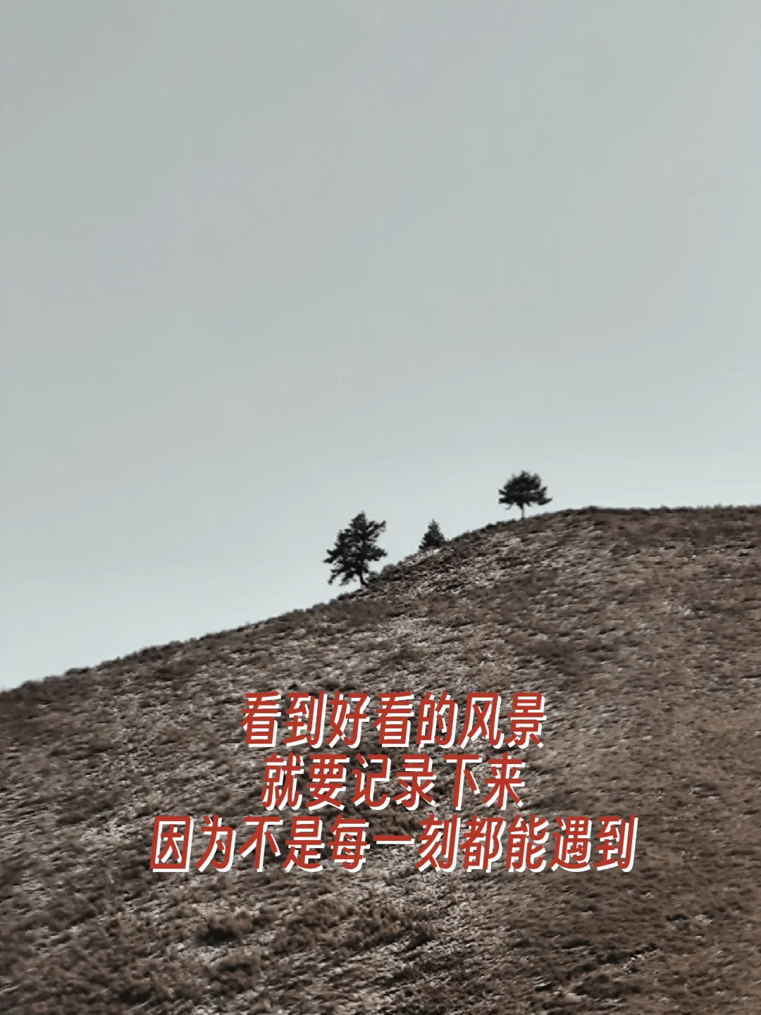 每天读书一小时📚说说你最喜欢哪本