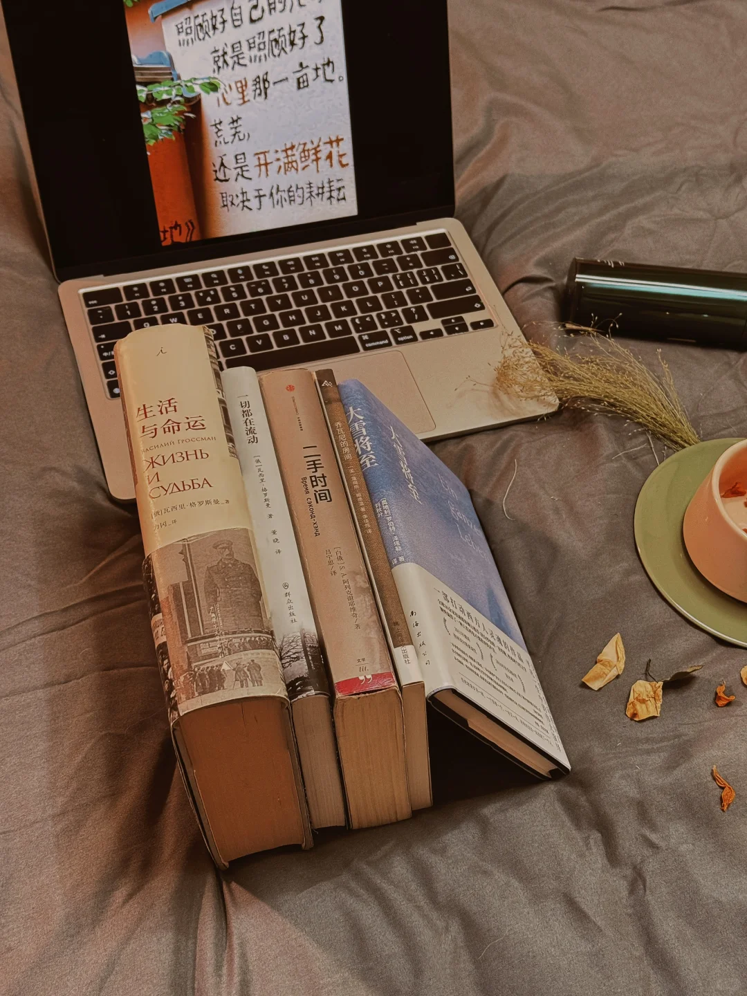我的2024年度书单📚（文学类）