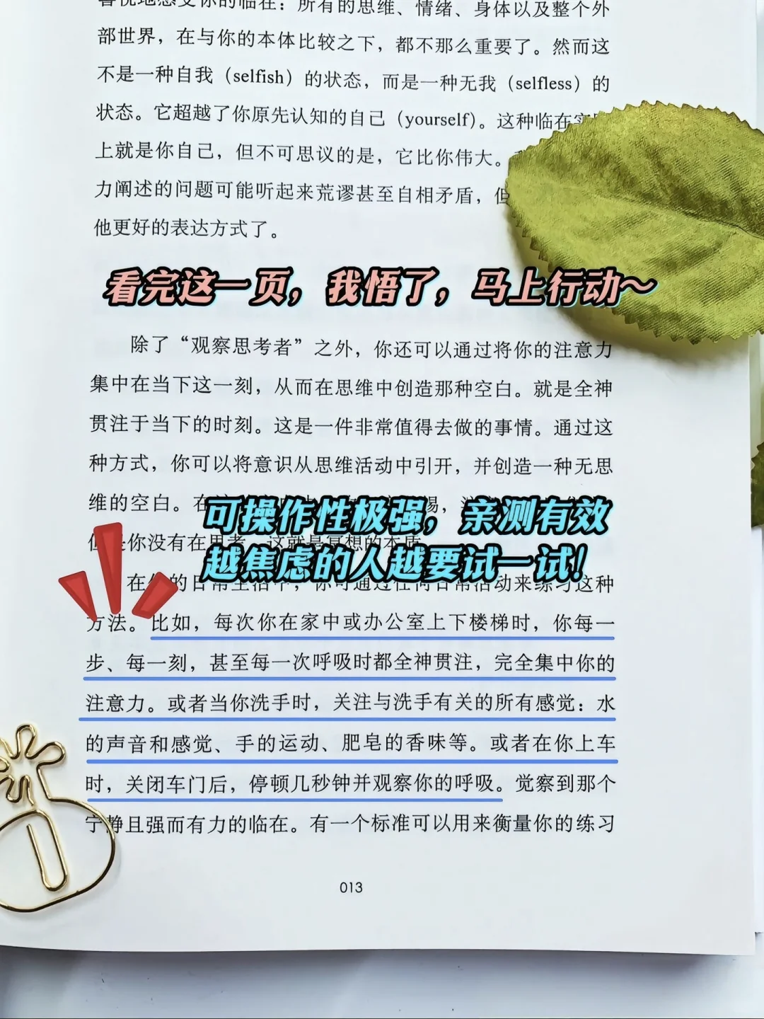 刘亦菲推荐的书、一本女生核心的经世之作
