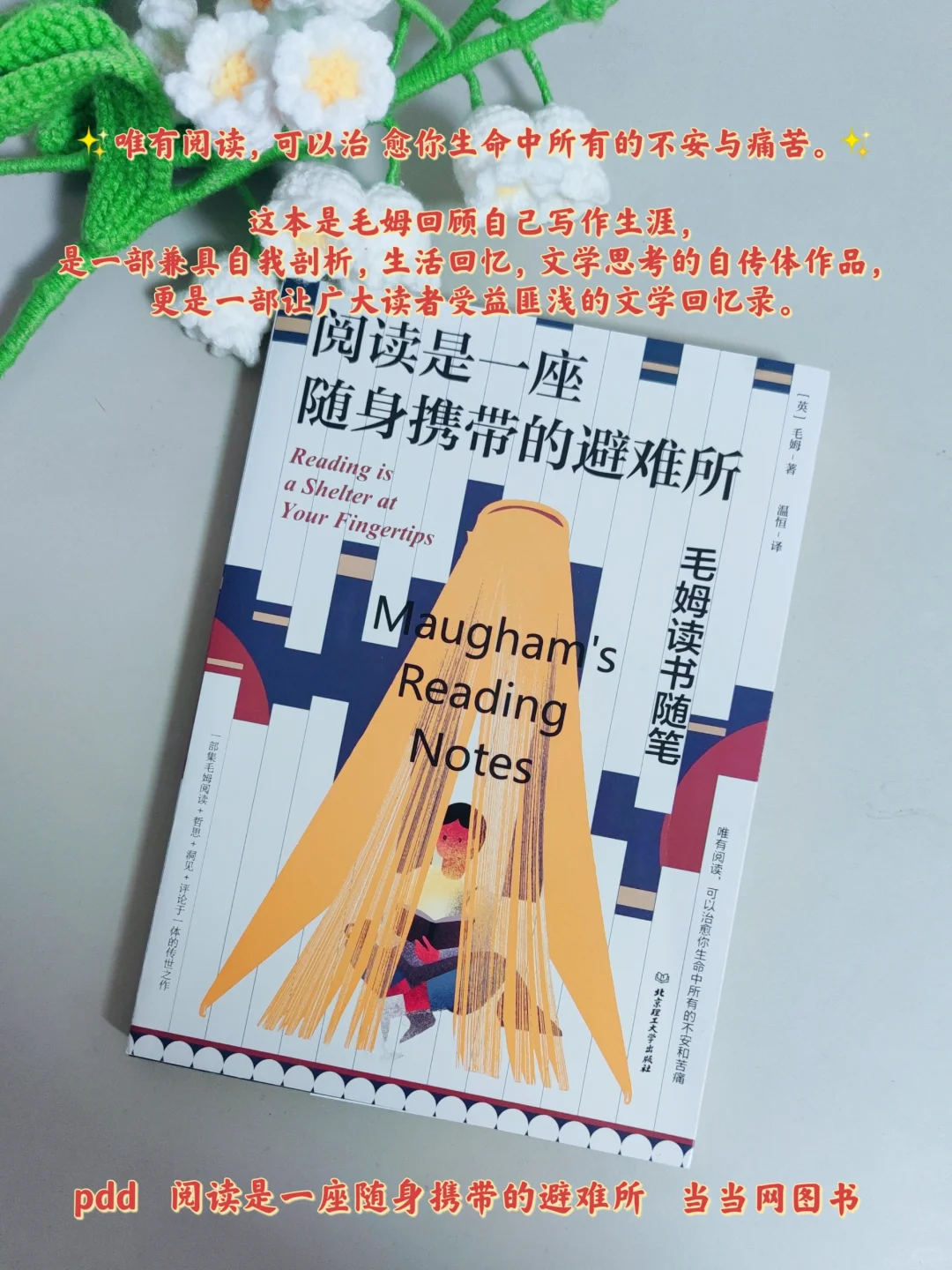 感谢这几本书｜让我从文字里获取生活的力量