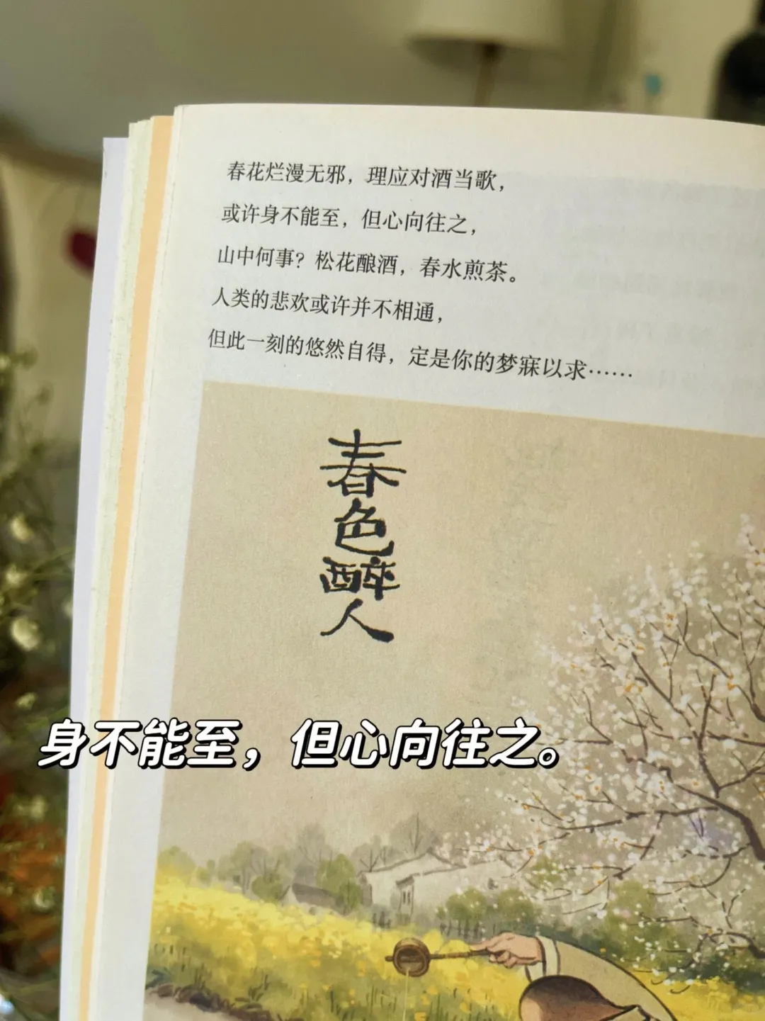 不愧是央妈推荐的书，我走出了精神内耗❗️