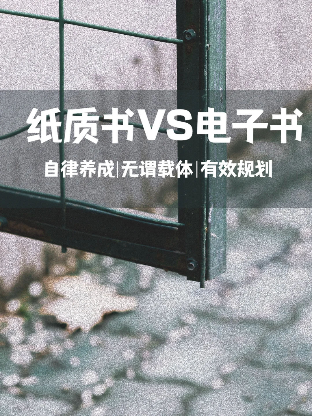 纸质书VS电子书哪个更好⁉️