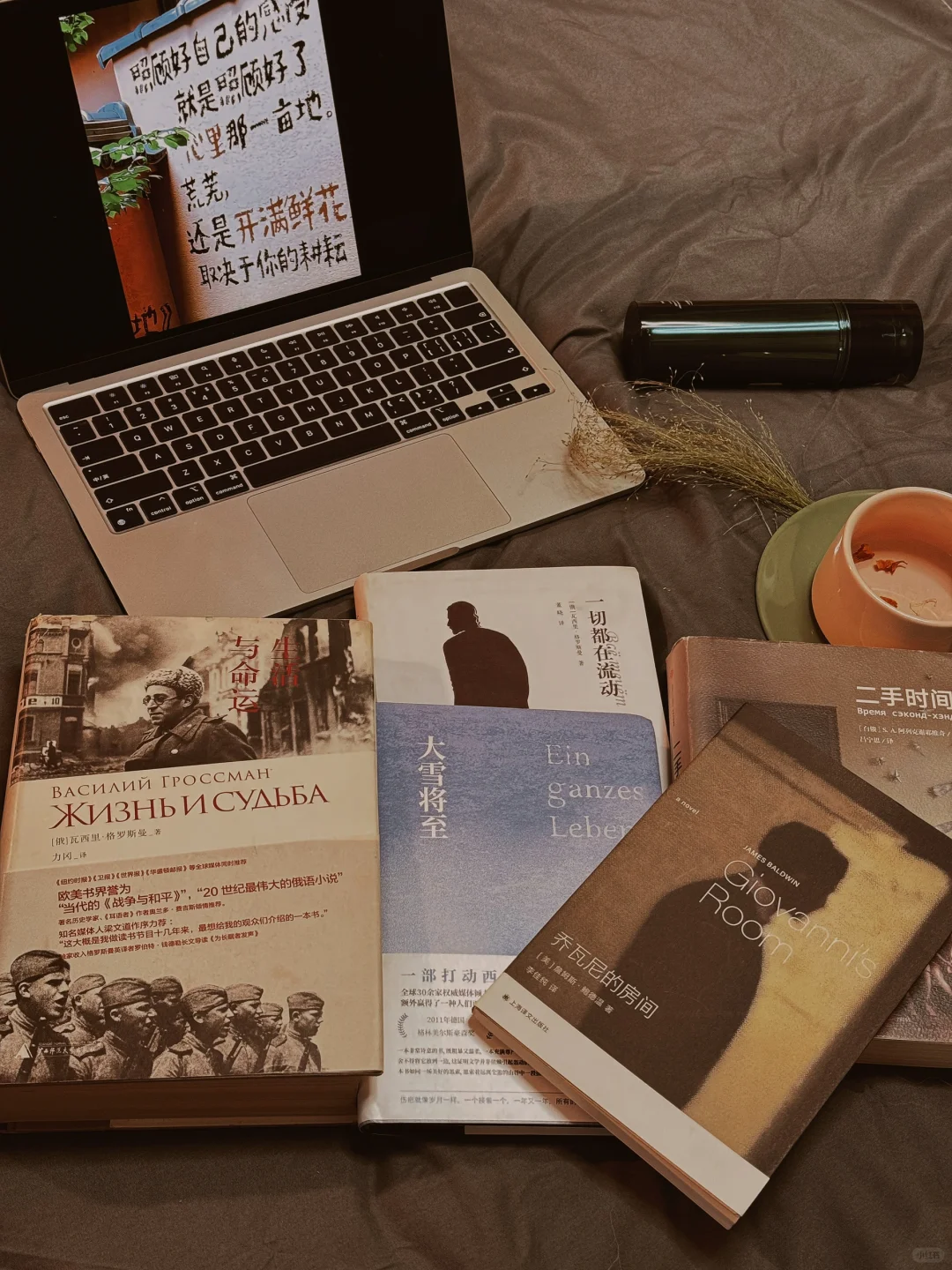 我的2024年度书单📚（文学类）
