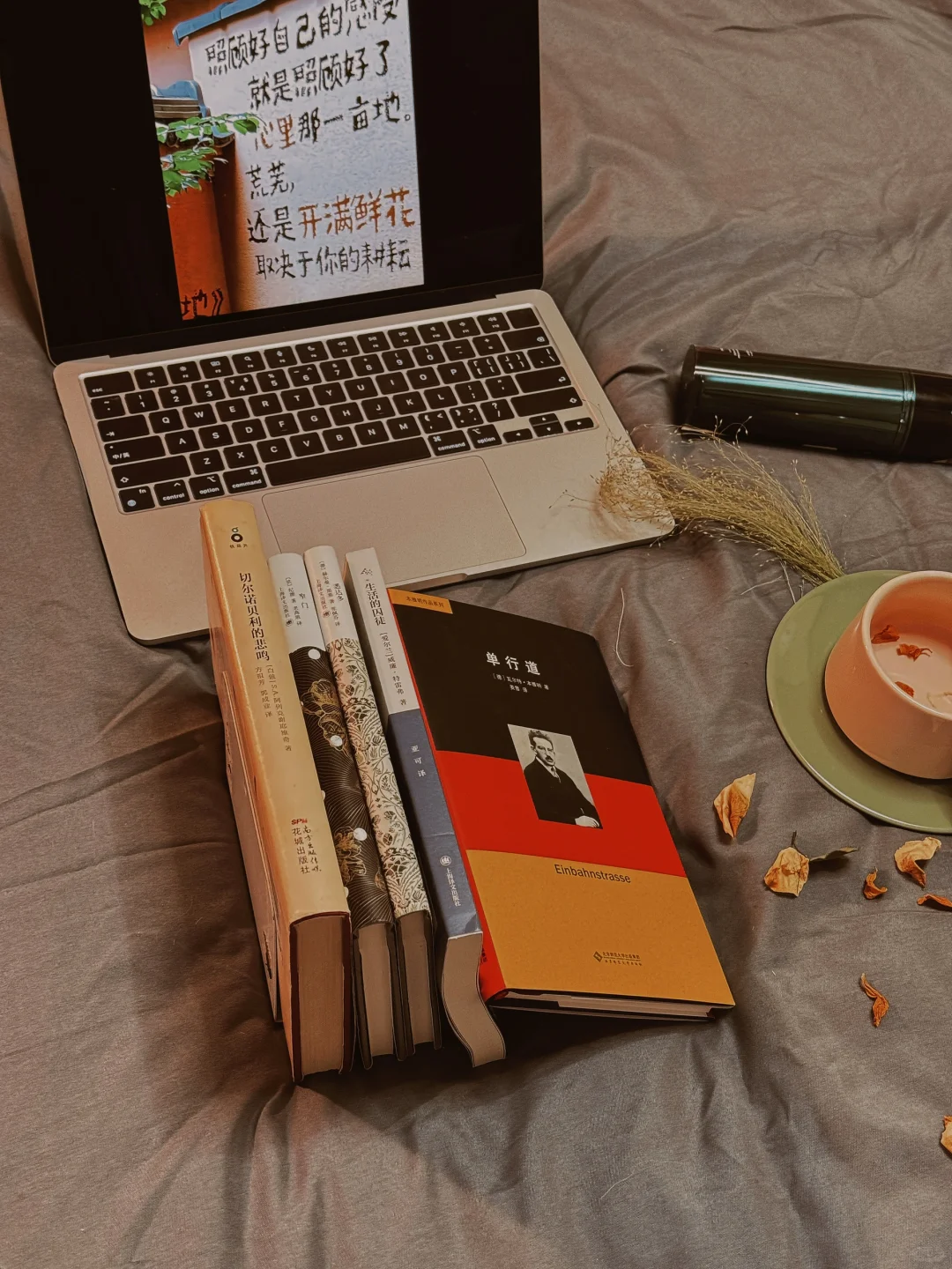 我的2024年度书单📚（文学类）