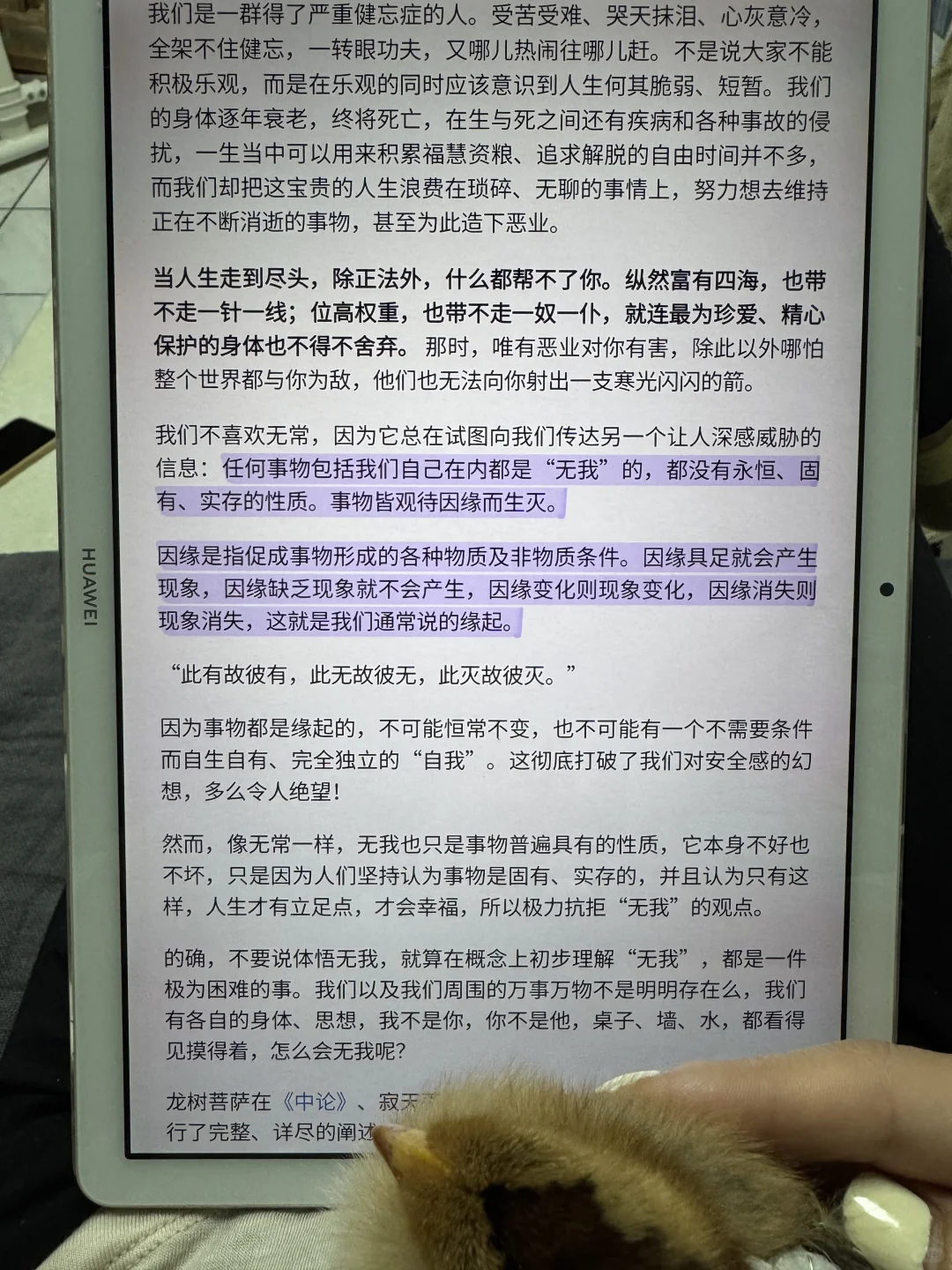 电子书自由，图书馆书单get√📚