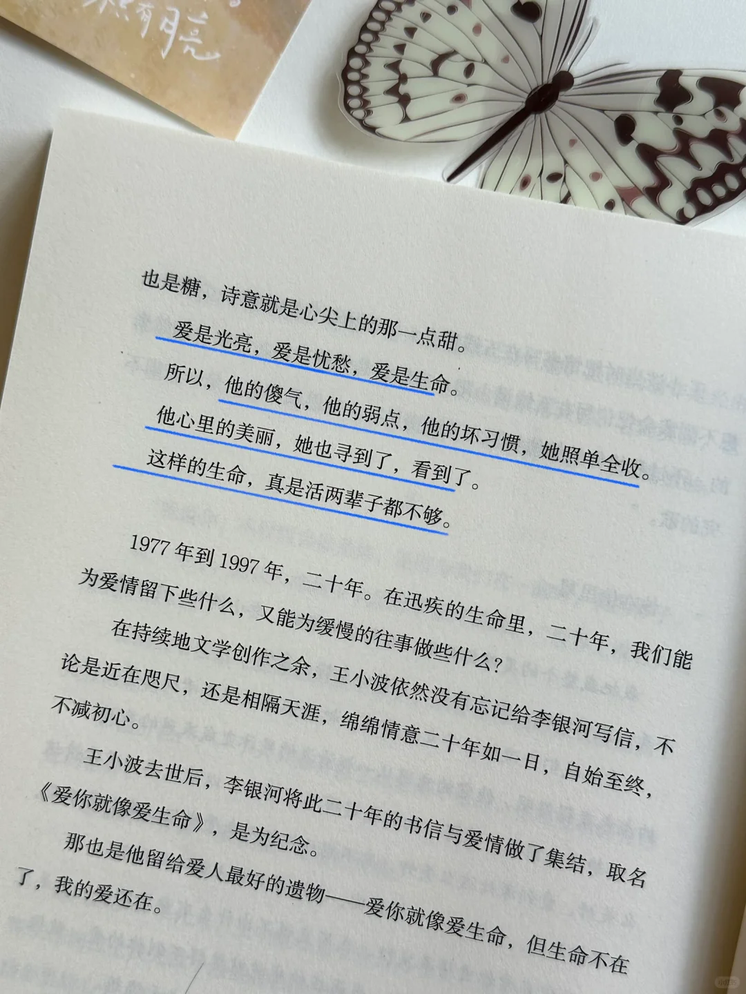 太温暖太浪漫了！我恨不得全文都摘抄下来🥹