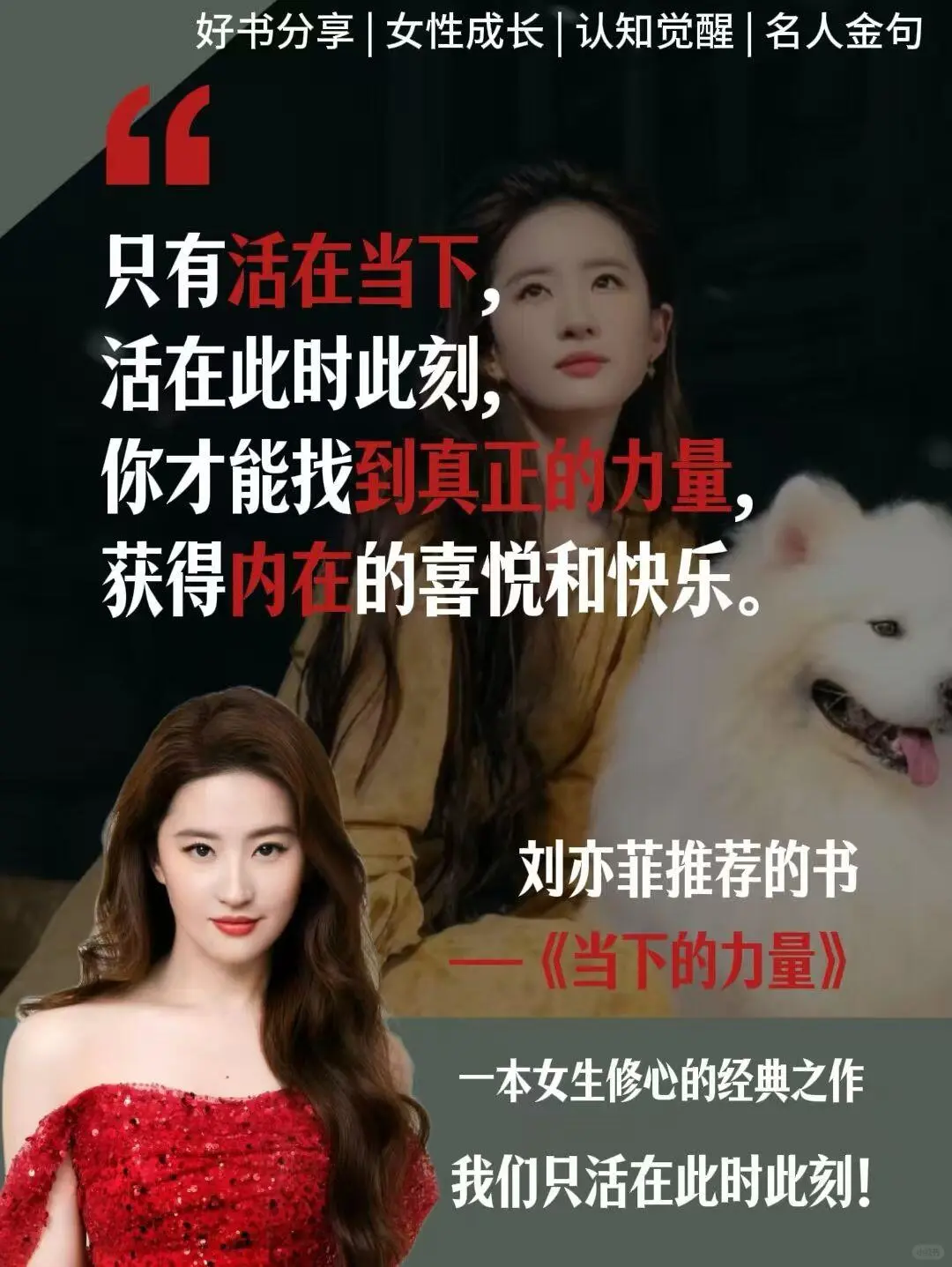 很庆幸读到了这段话！不愧是刘亦菲推荐