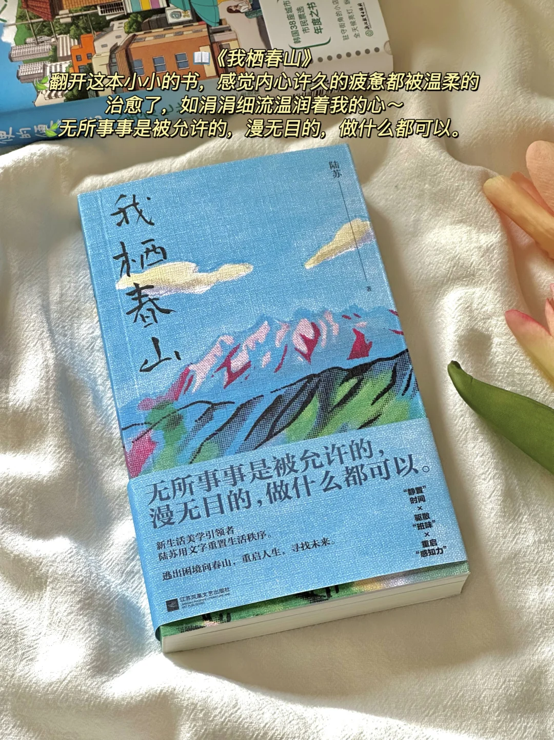 治愈的春日书单🌿每一本我都太太太爱啦！