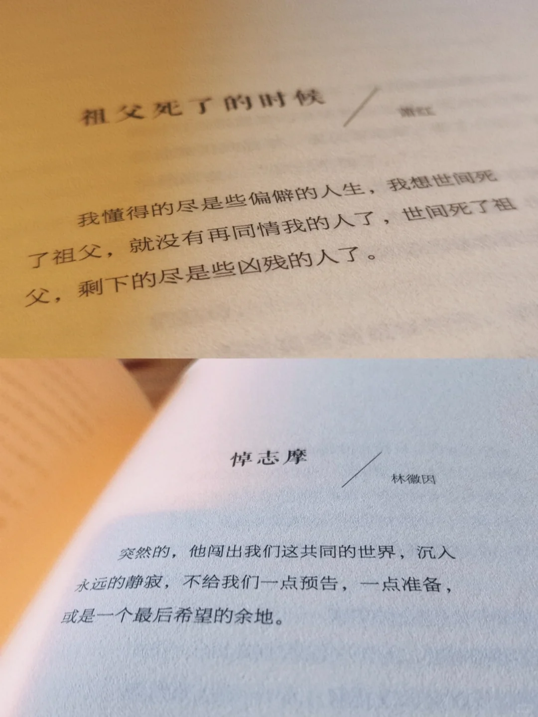 泪崩散文｜这本书可把我哭惨了😭