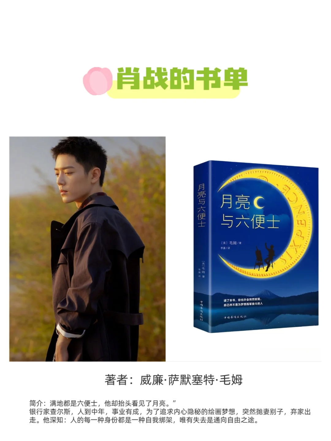 📚 肖战书单×藏海传｜权谋与书香的灵魂共振