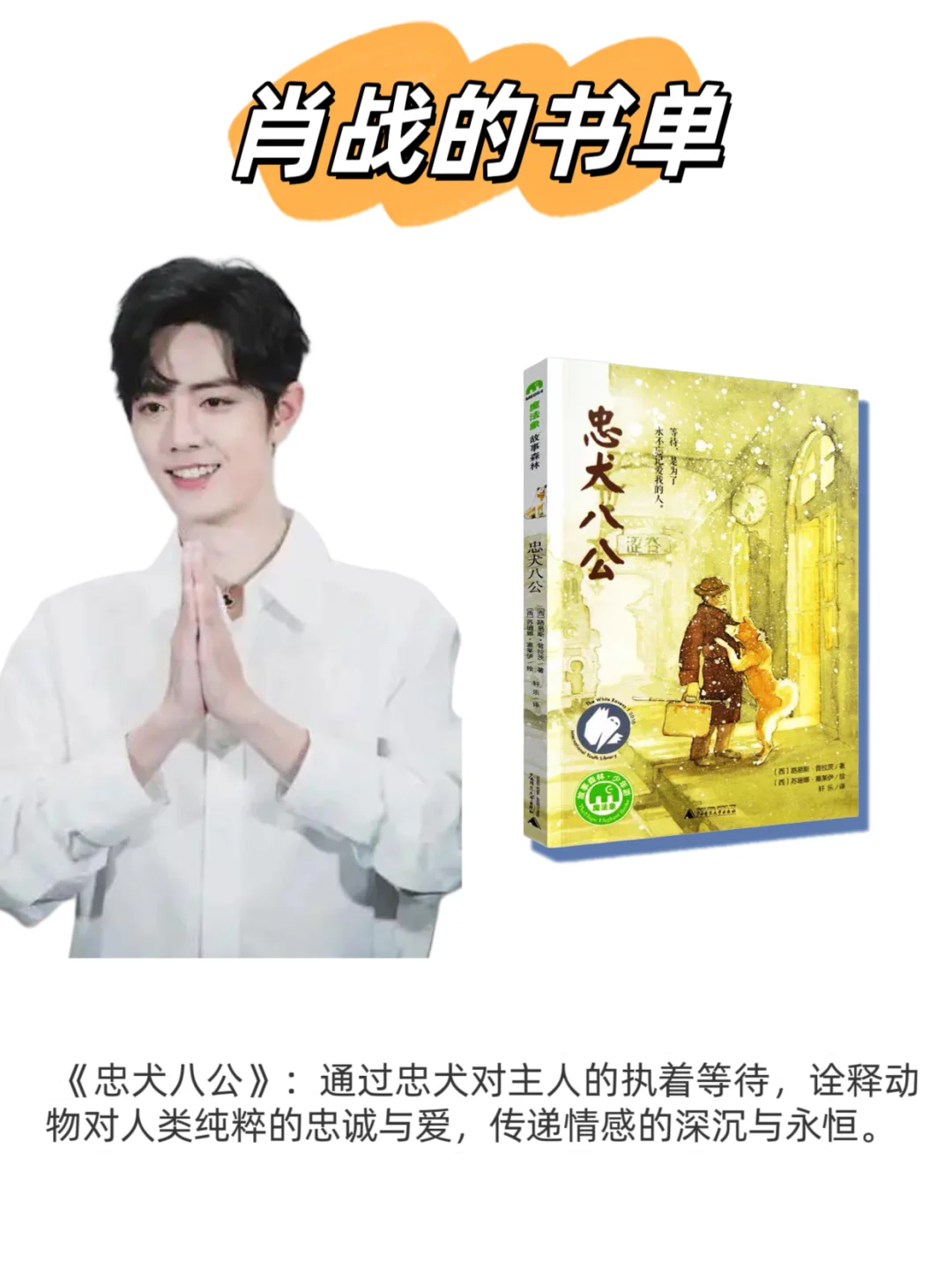 📚肖战的书单:如何在迷茫中找到避风港