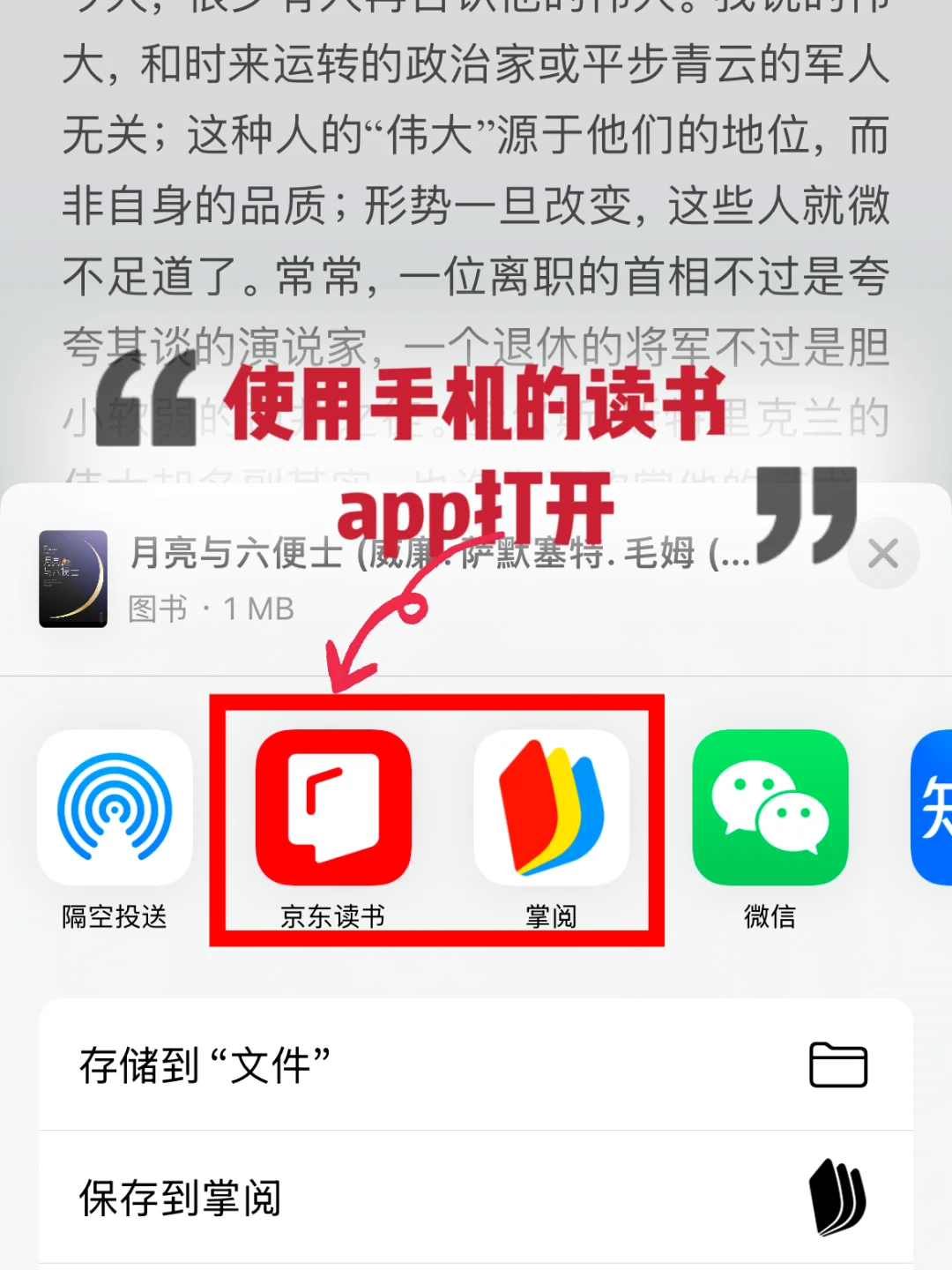 电子书阅读自由被我实现了🤩这快乐谁懂🎉