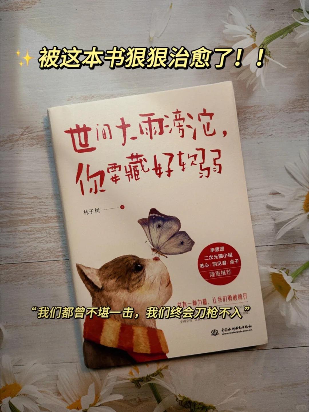 这本书狠狠治愈了我的迷茫和焦虑！