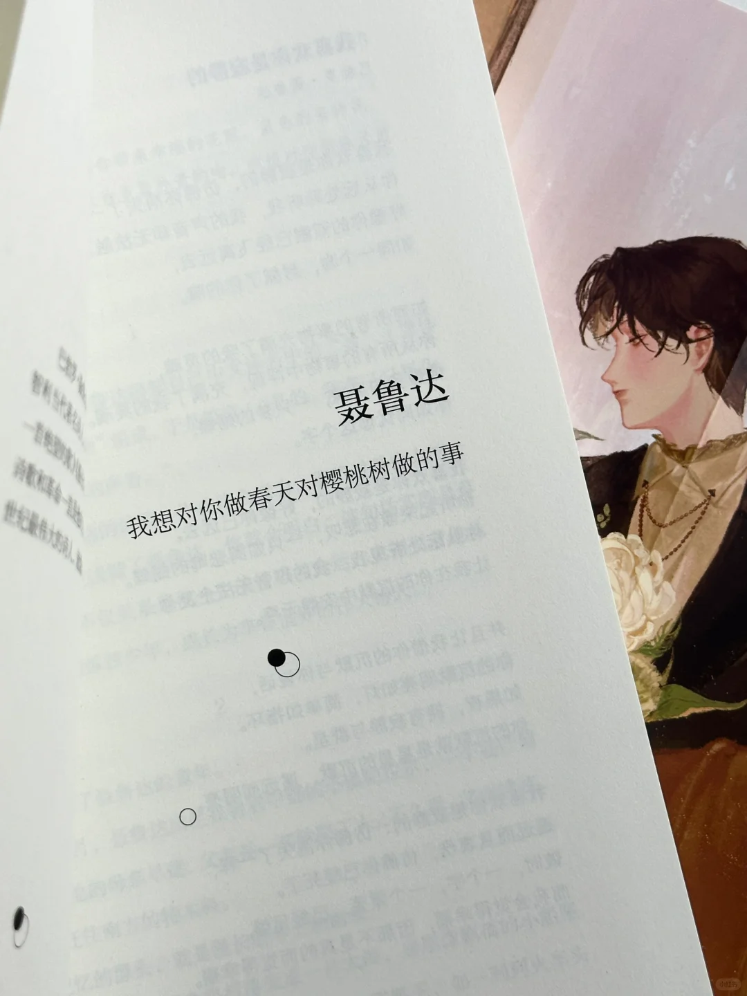太温暖太浪漫了！我恨不得全文都摘抄下来🥹
