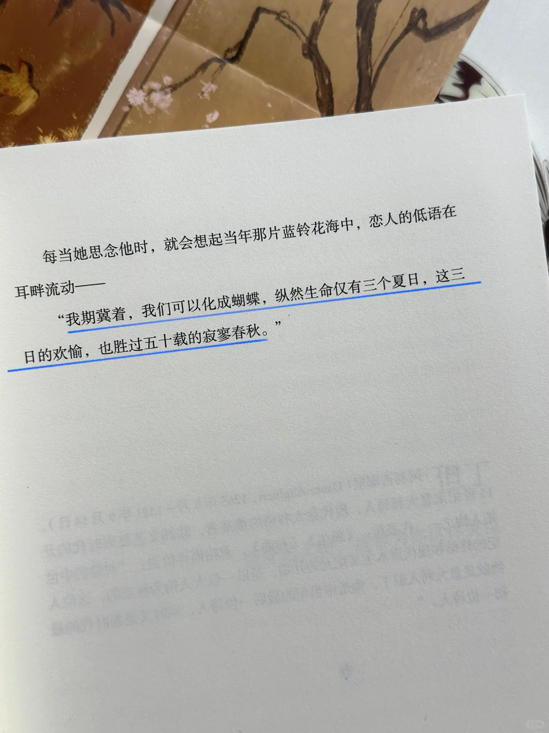 太温暖太浪漫了！我恨不得全文都摘抄下来🥹