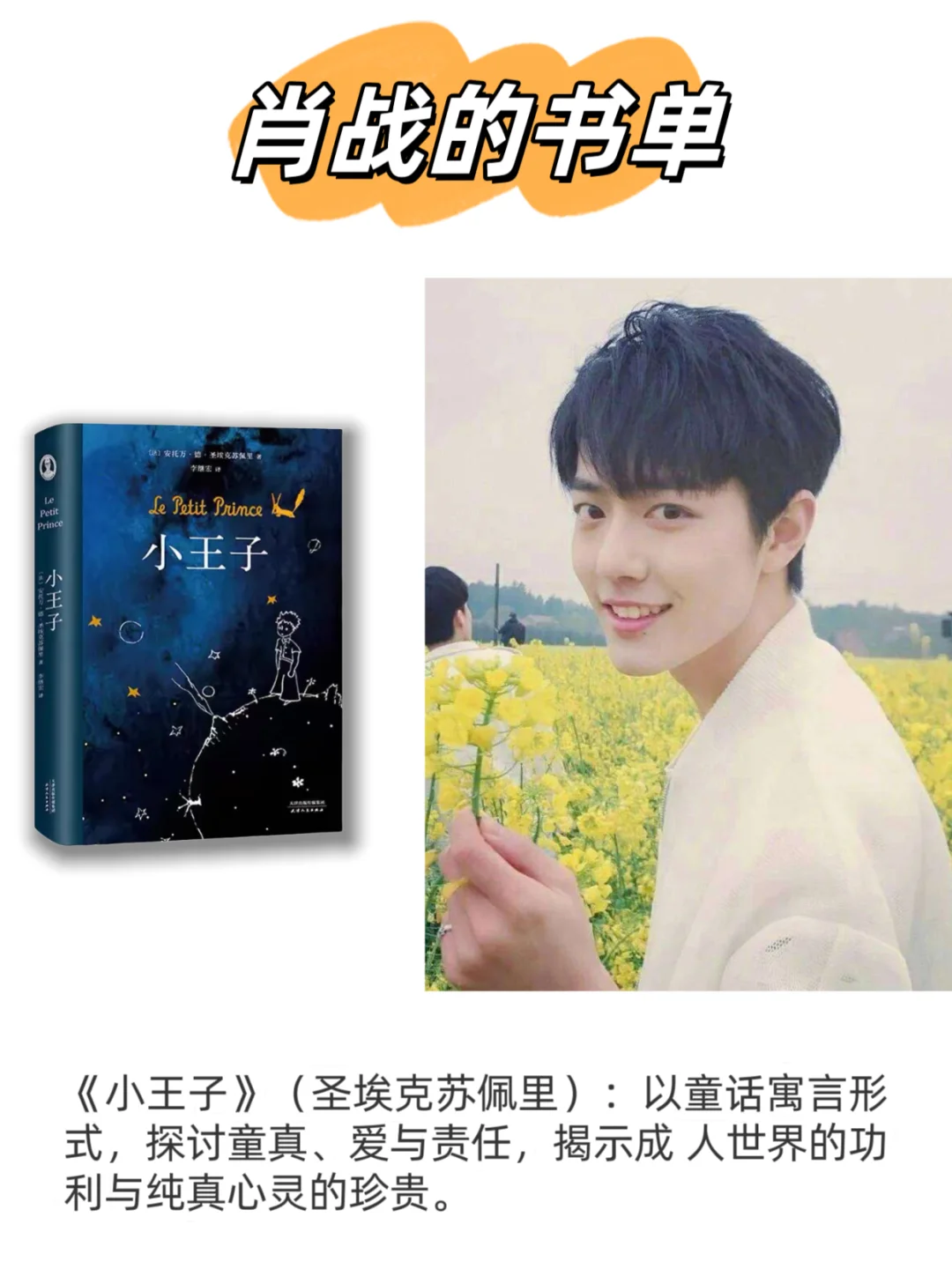 📚肖战的书单:如何在迷茫中找到避风港