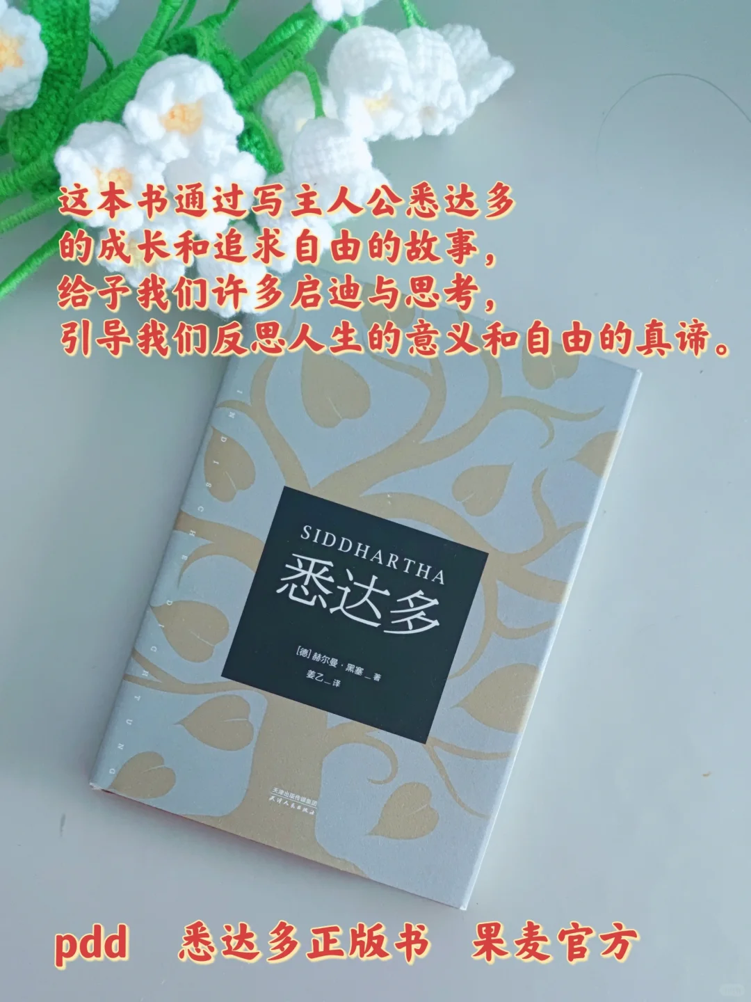 感谢这几本书｜让我从文字里获取生活的力量