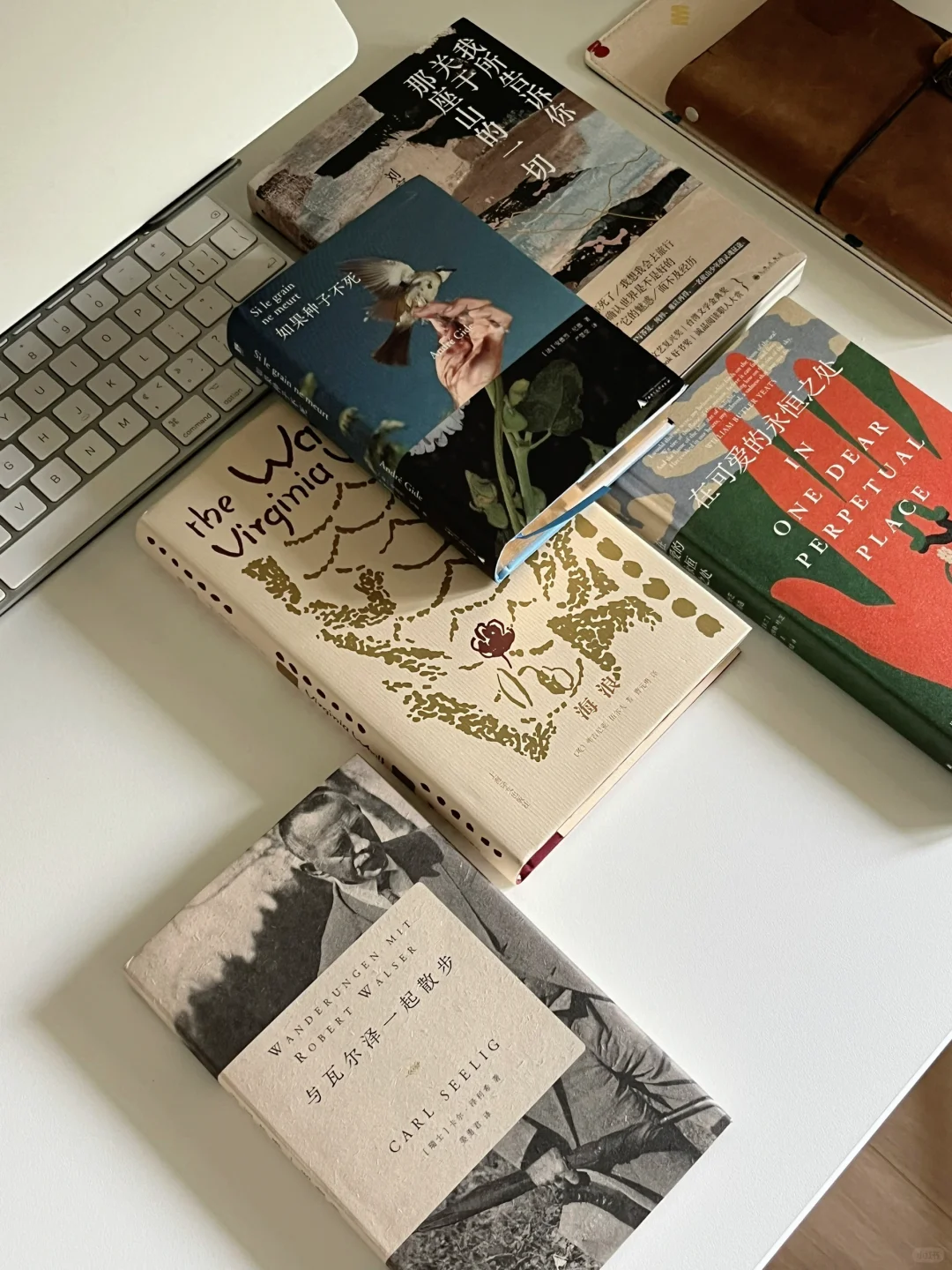 5月书单 📚