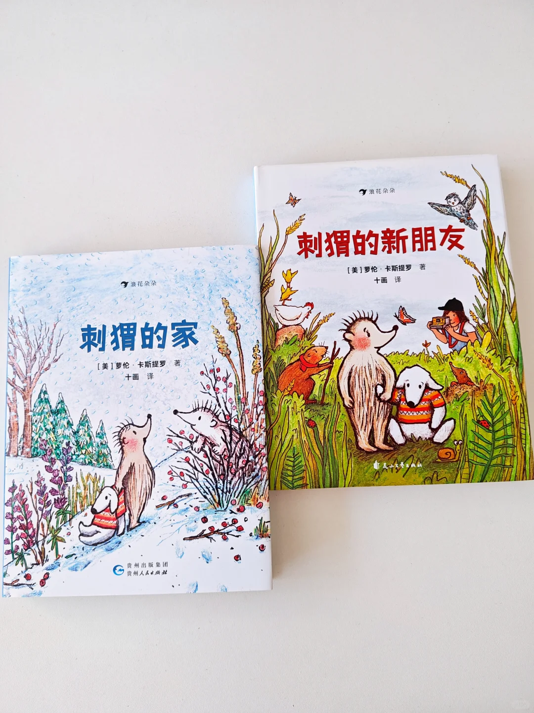 小学生高质量桥梁书单分享，码住！