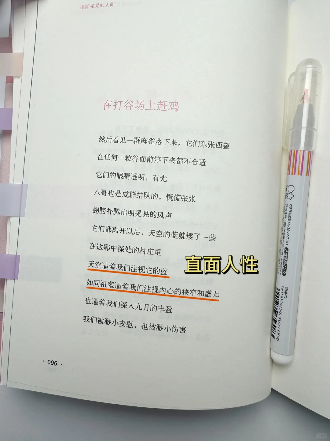我的天！余秀华在写什么啊！