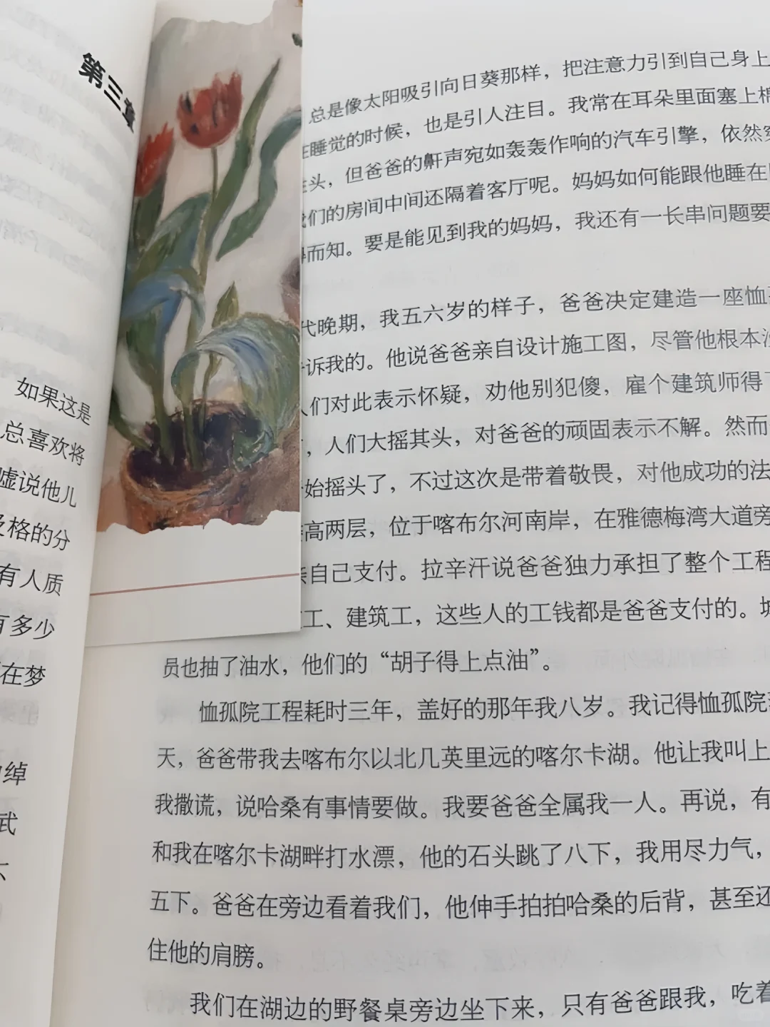 📚《追风筝的人》｜细腻描绘人生☀️