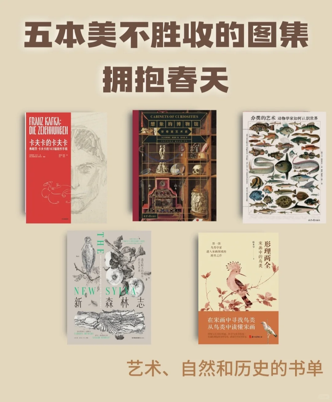 读完这五本书，你比春天更美
