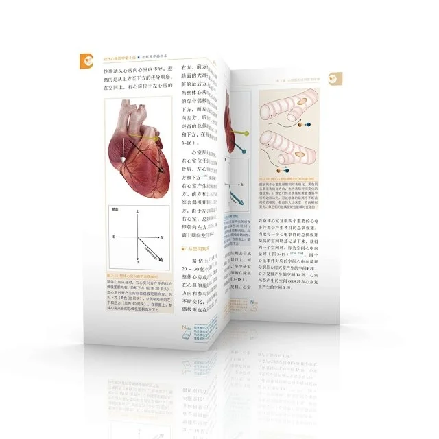 心电图学基础pdf版电子书下载