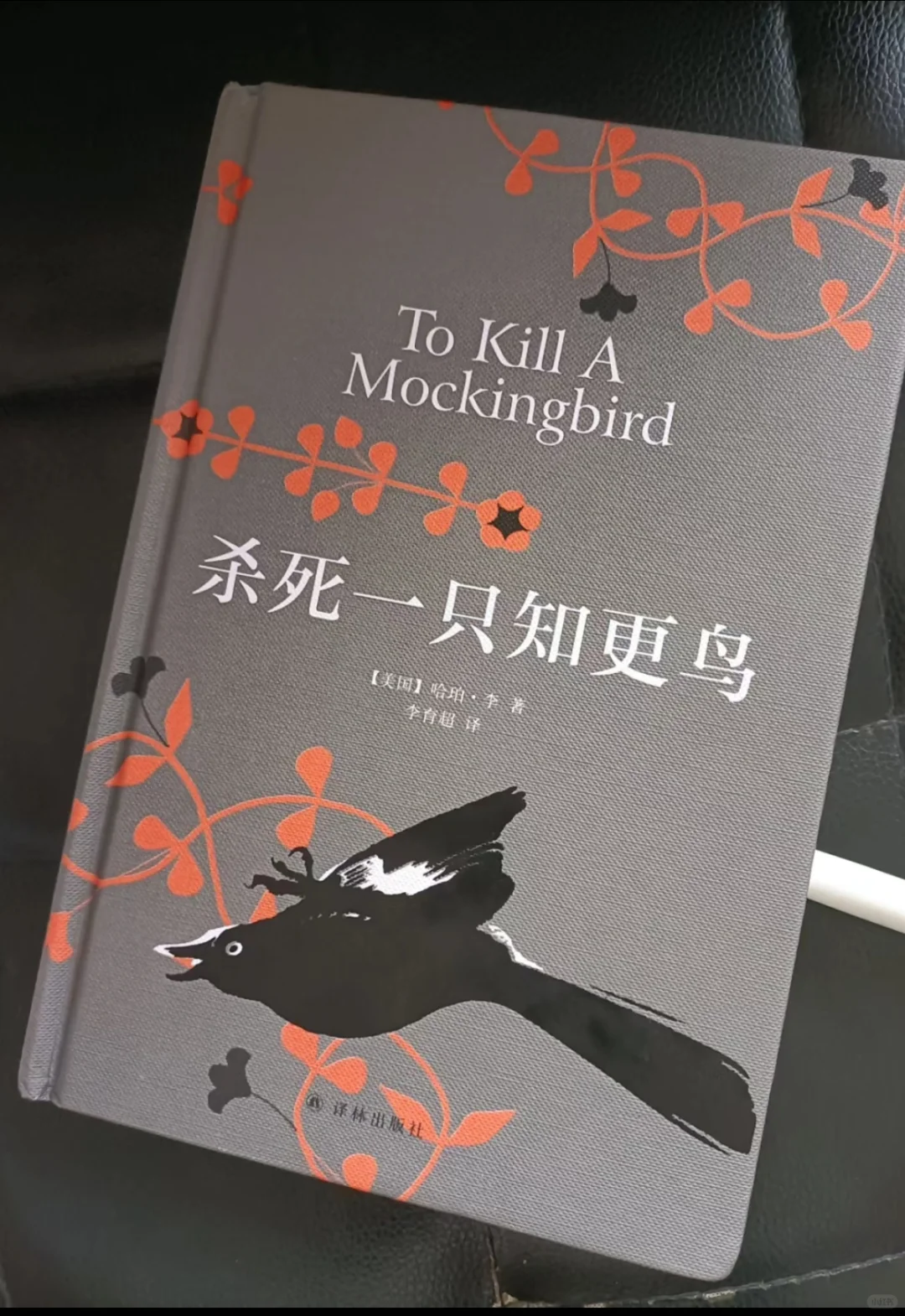 杀死一只知更鸟 电子版，epub，文件直发