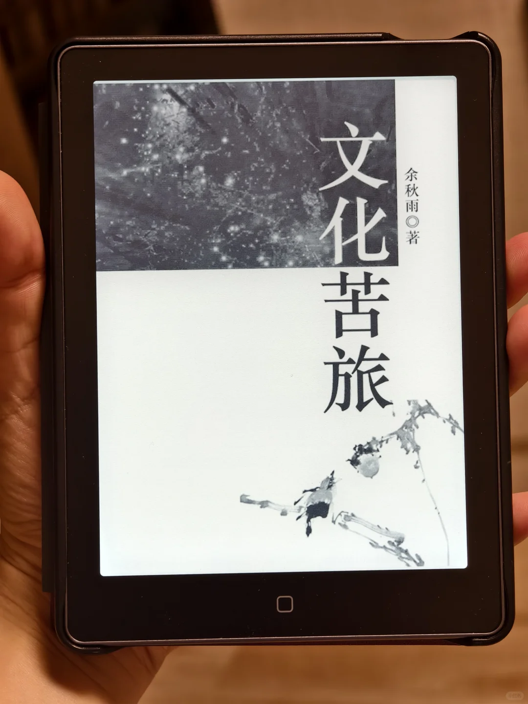 自我繁殖的电子垃圾——电纸书