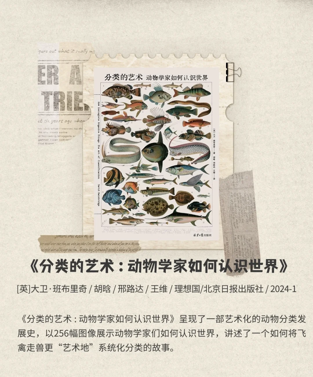 读完这五本书，你比春天更美