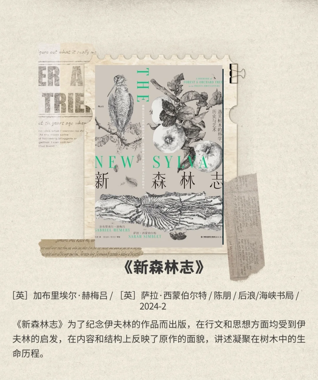 读完这五本书，你比春天更美