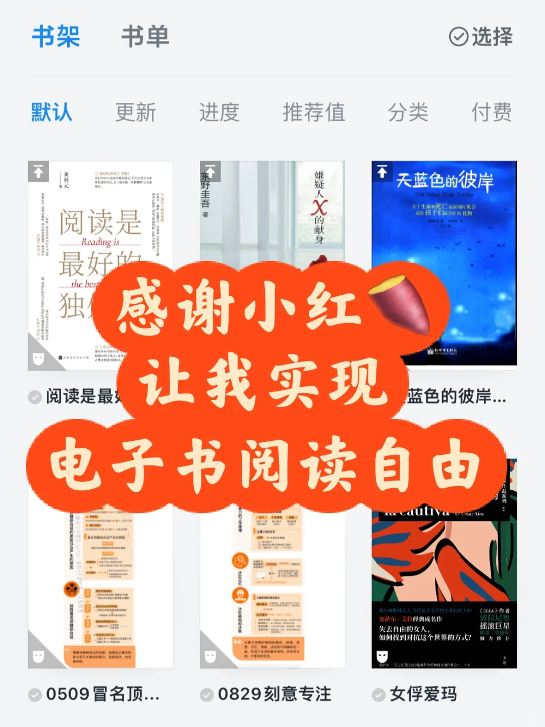 感谢🤝小红书，让我实现海量电子书阅读自由