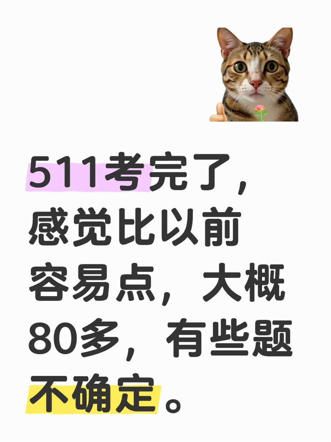 福建511