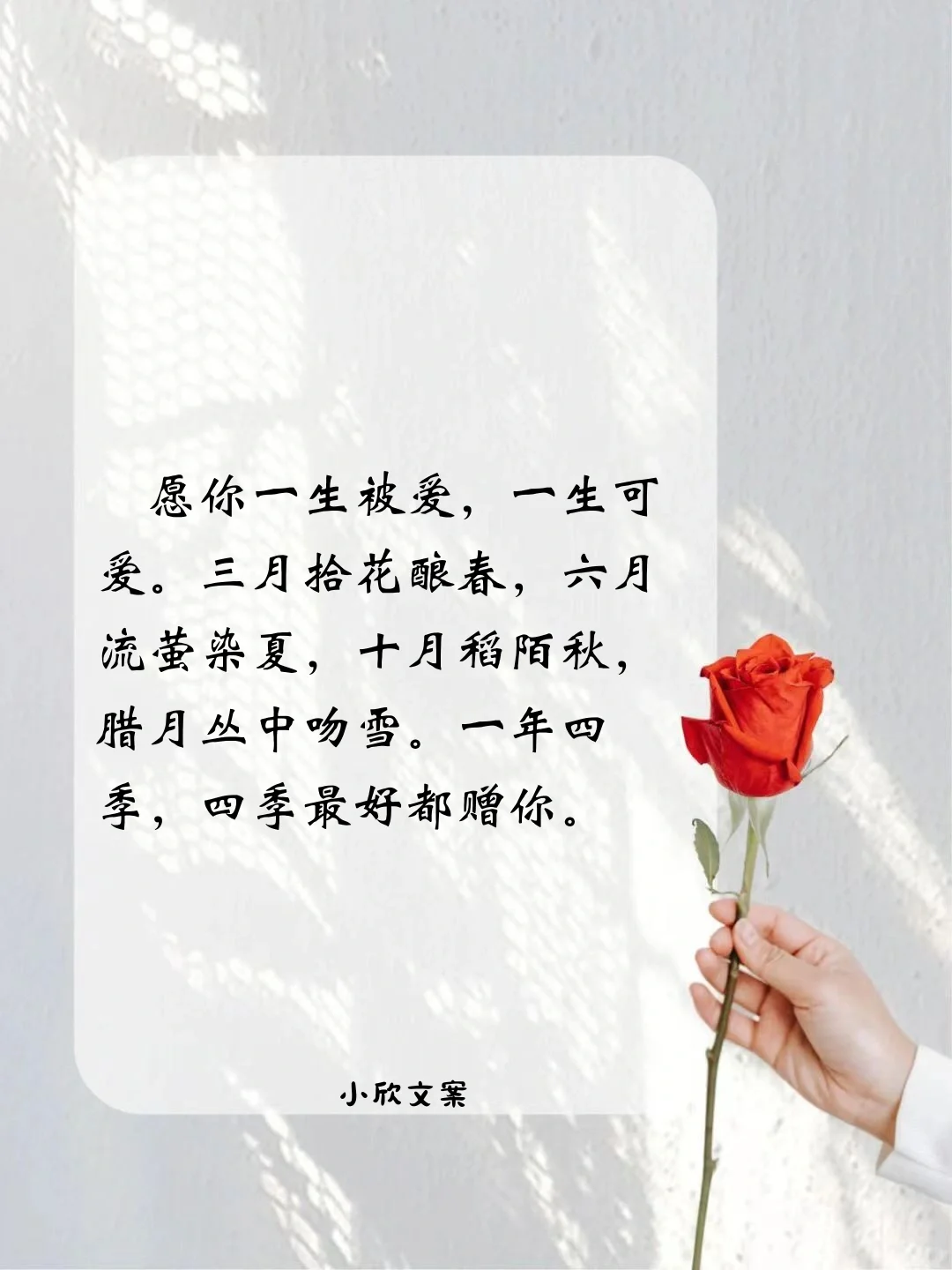 抖音爆款文案