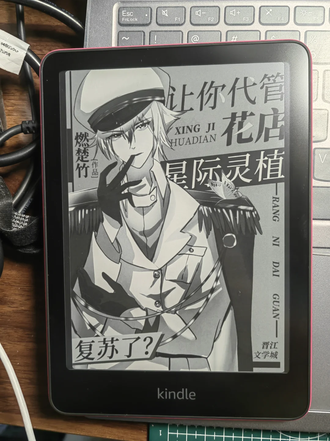 Kindle碎碎念