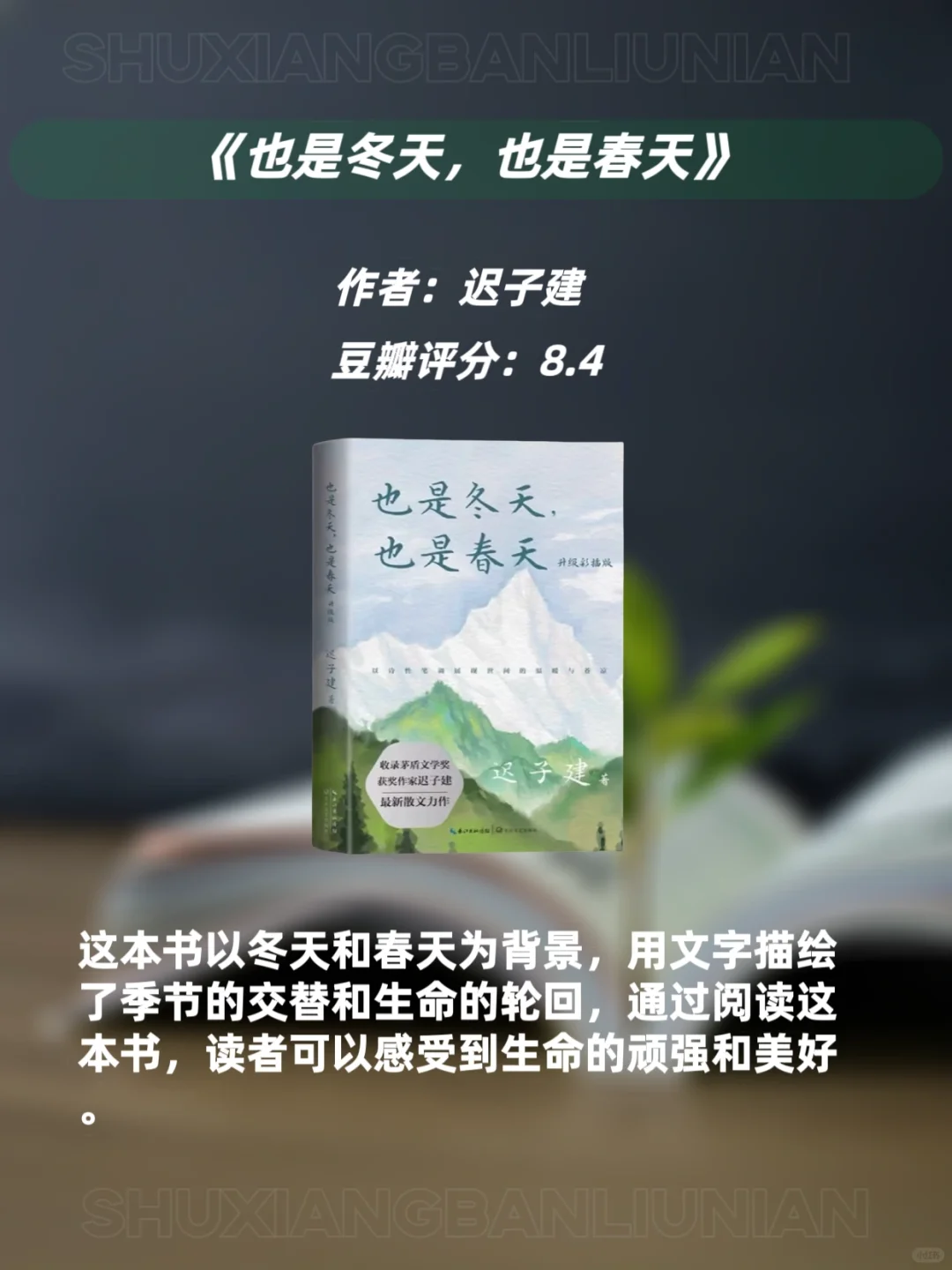 文笔太差的女生🔥请翻烂这9本宝藏书📚