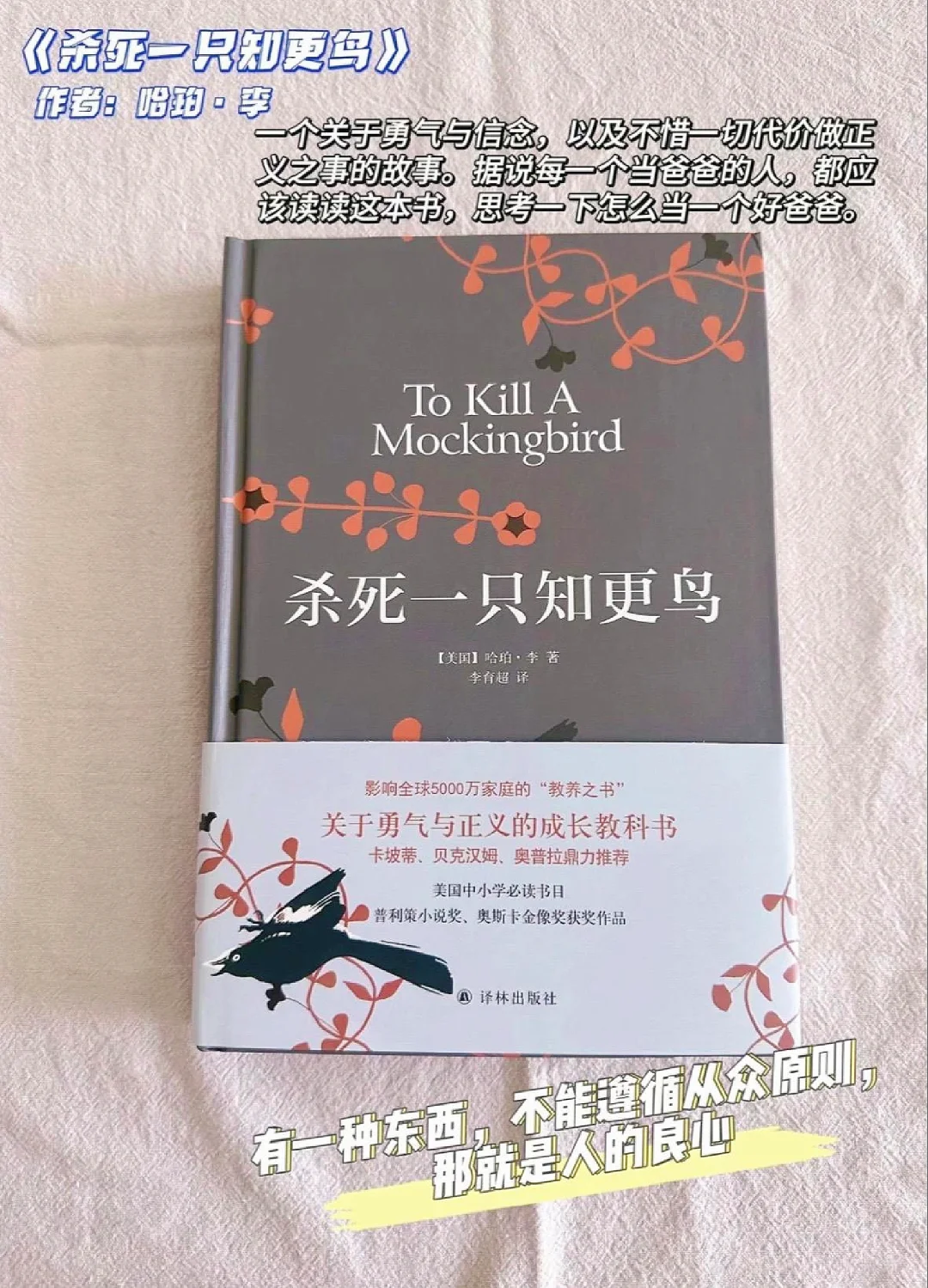 2024年值得一看的豆瓣高分治愈系小说推荐
