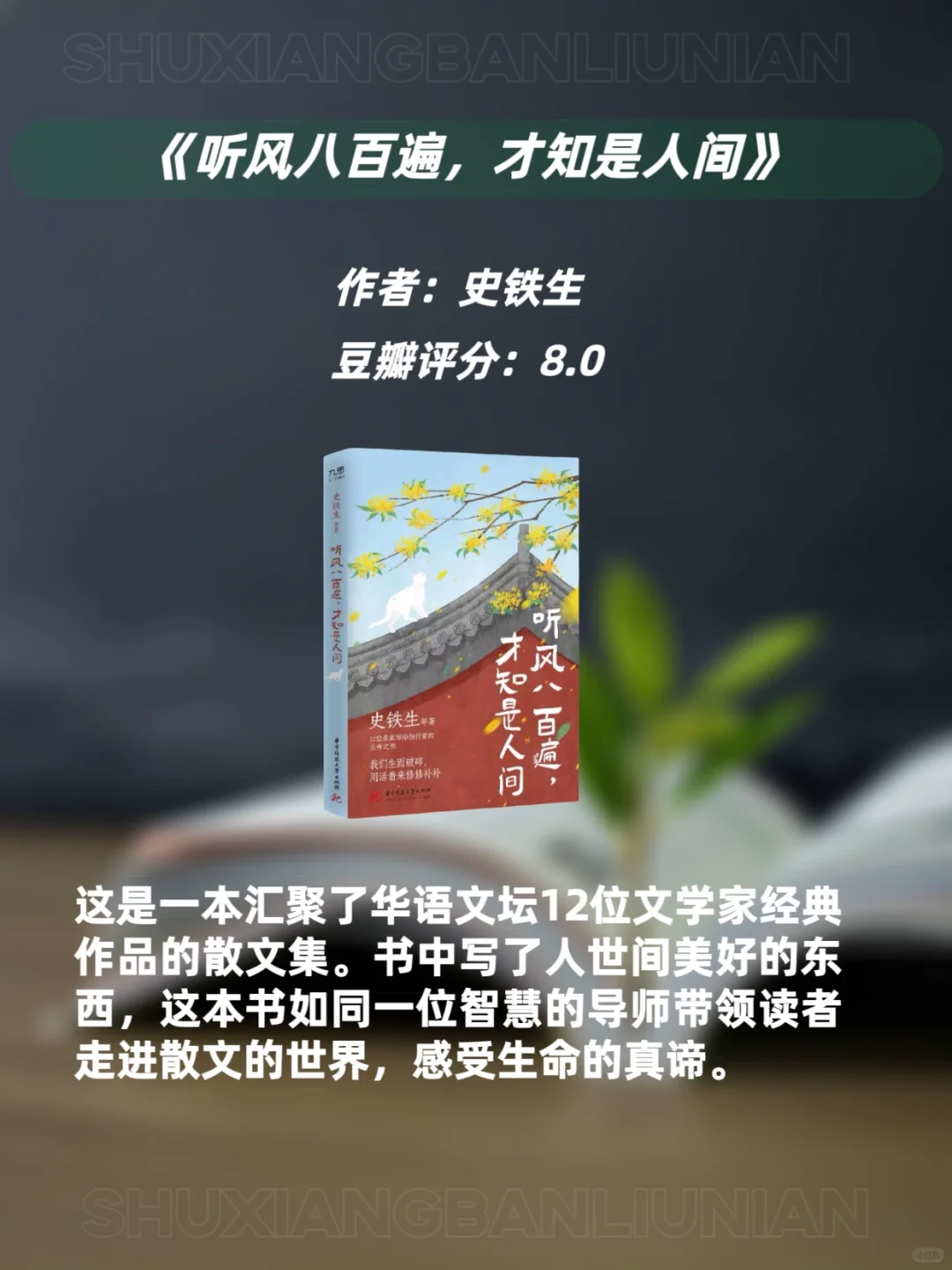 文笔太差的女生🔥请翻烂这9本宝藏书📚