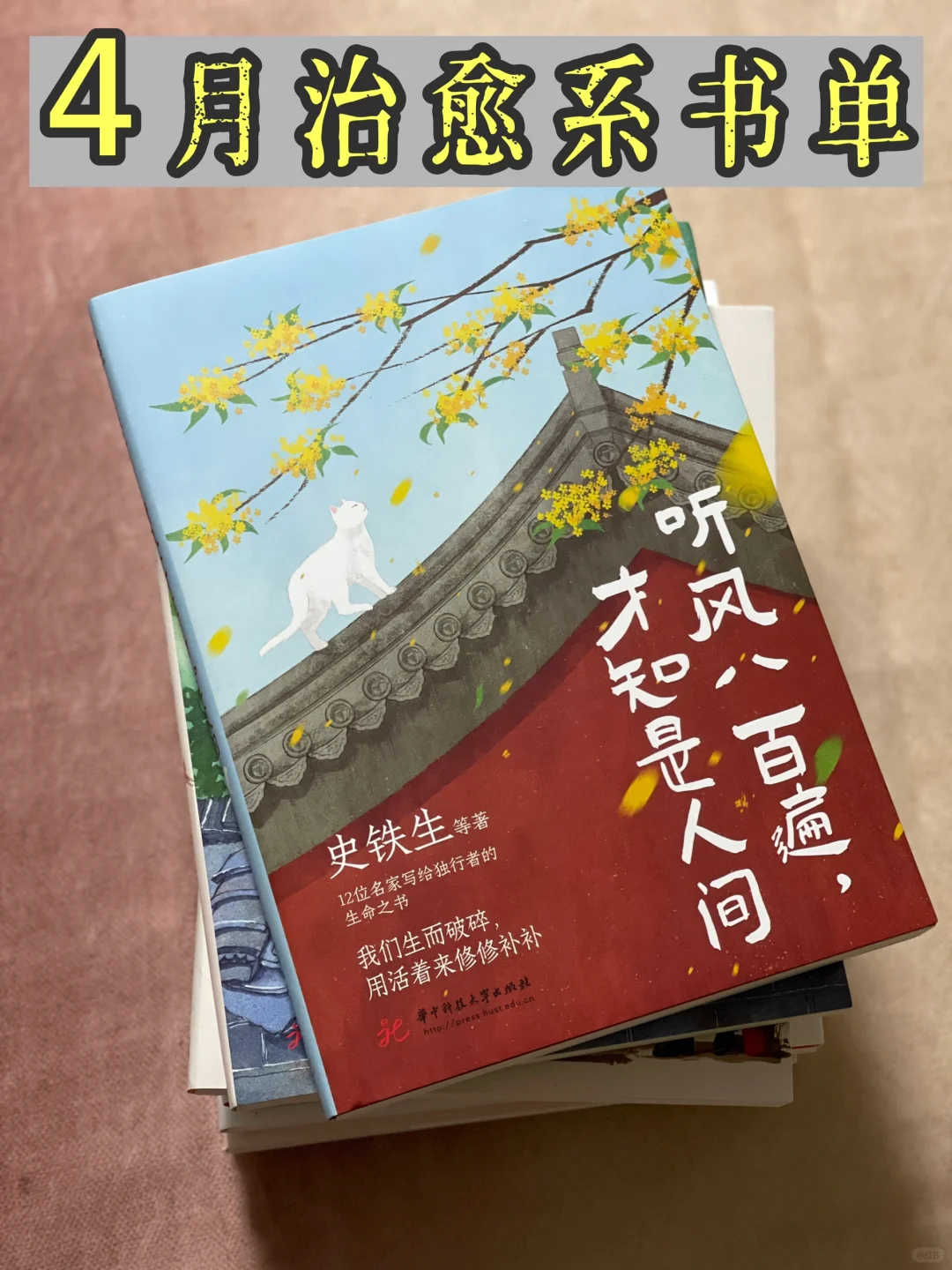 📖4月已读完-治愈系的书单🌸