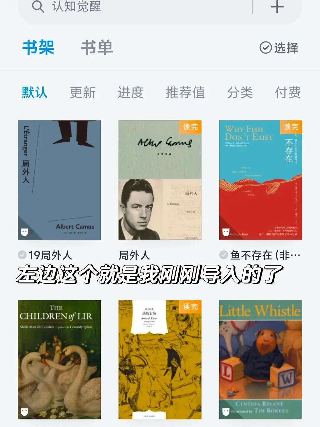我的ipad实现电子书自由了！看书不用花💰