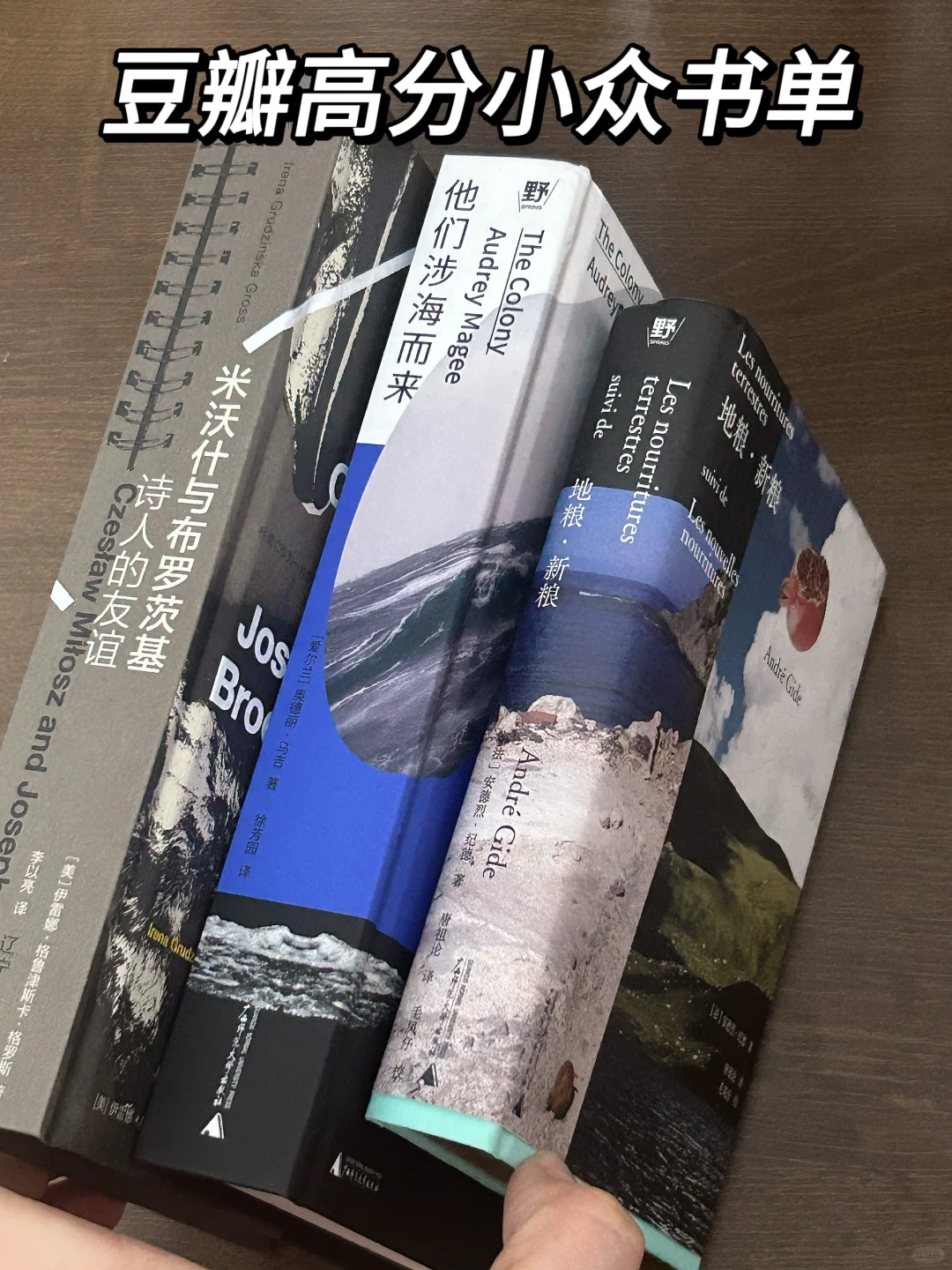 📚豆瓣高分小众书单｜提升文学素养