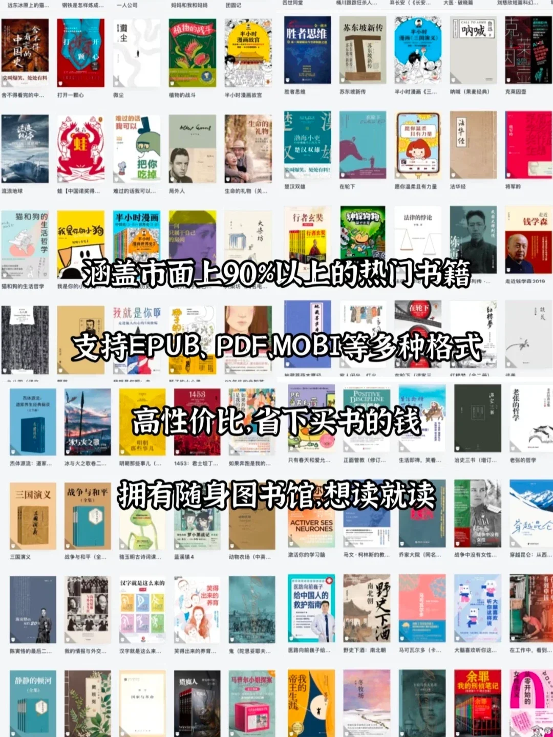 我的ipad实现电子书自由了！看书不用花💰