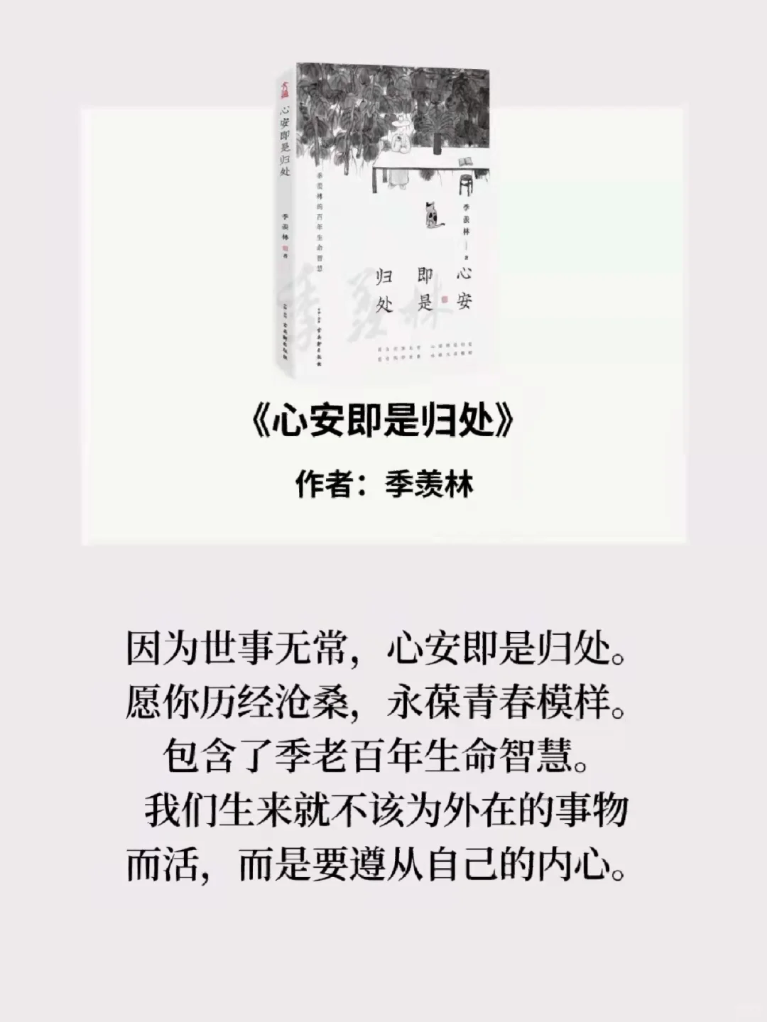 治 愈书单：这7本书像光一样治 愈了我
