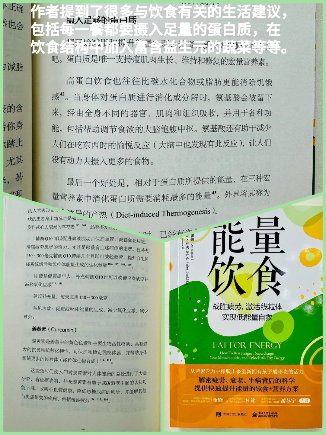 12本改变我生活方式的饮食抗🔥书单
