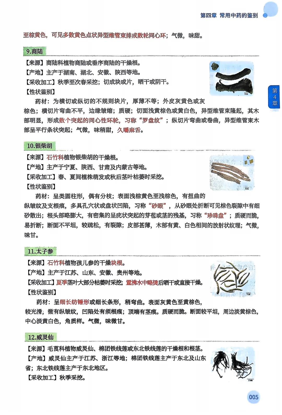 2025年执业药师执业中药师一本通全家桶pdf
