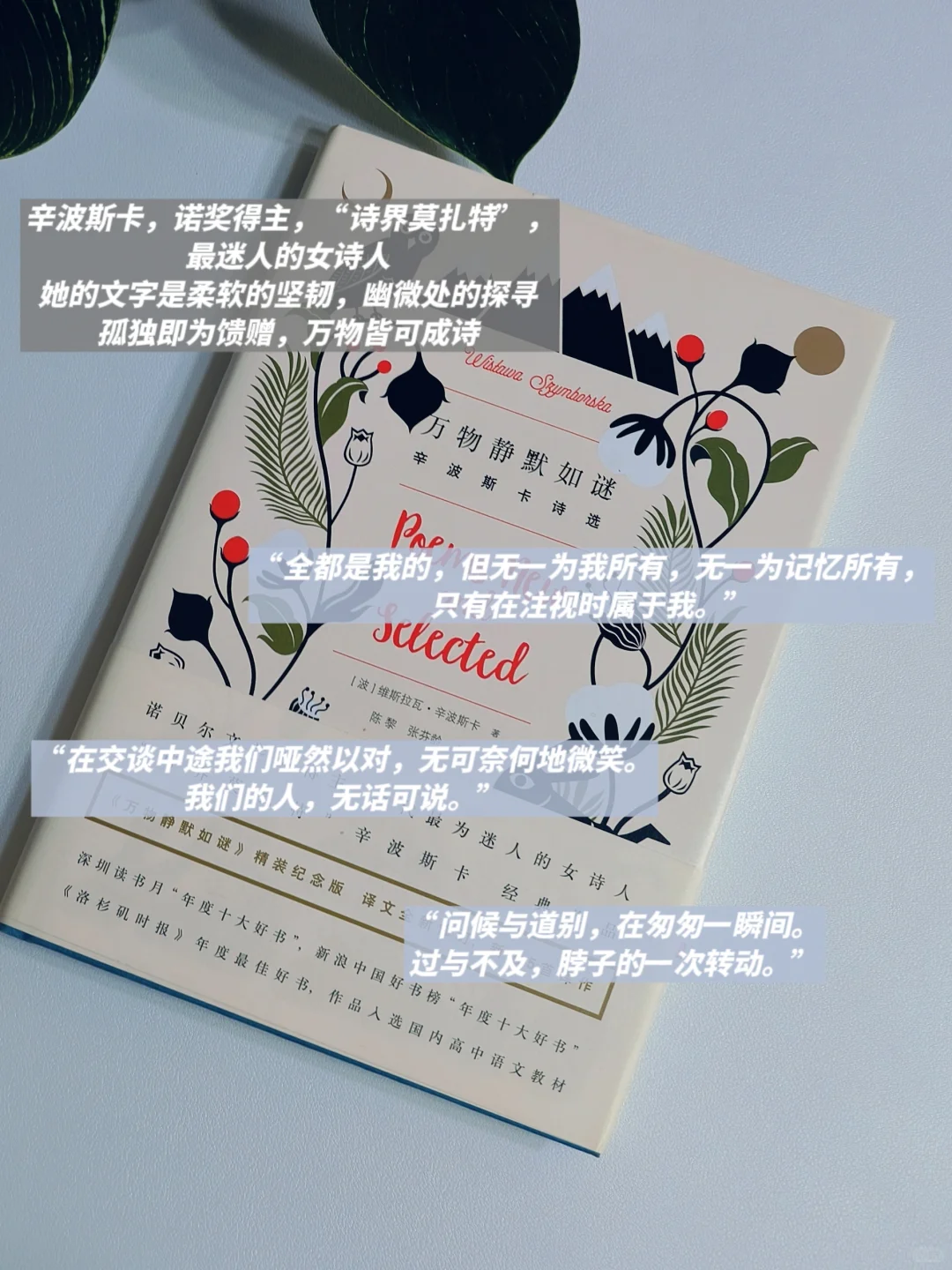 INFJ灵魂书单💙自由与真我永不换