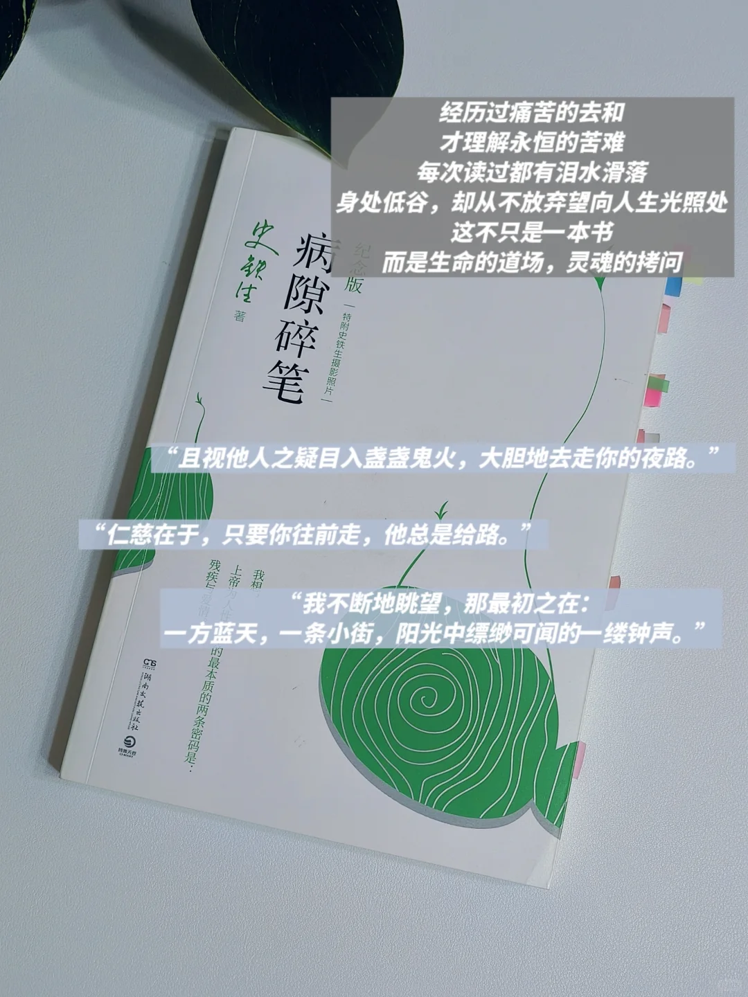 INFJ灵魂书单💙自由与真我永不换